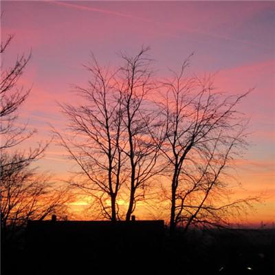 开云集团下载手机版